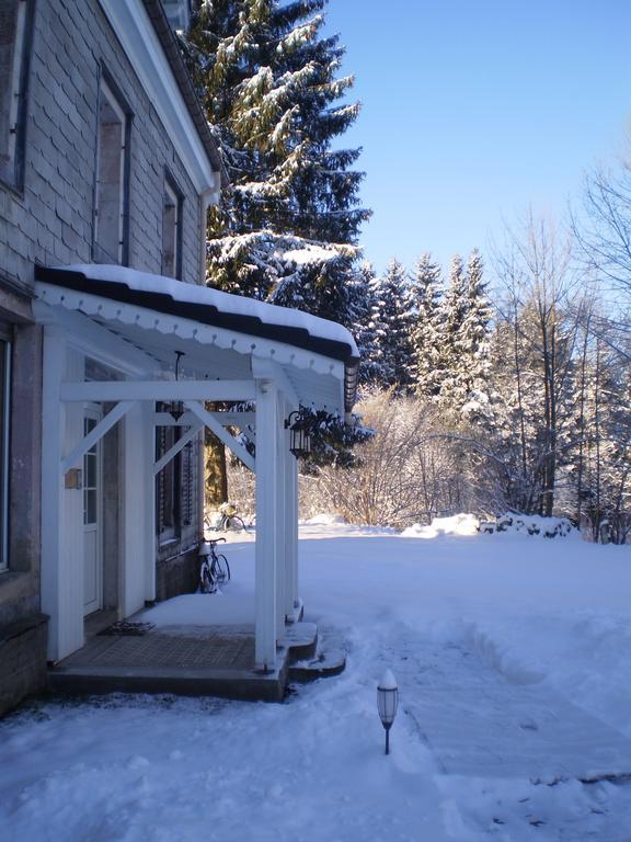 Chambres D'Hotes Le Clos Des Lesses Fresse-sur-Moselle エクステリア 写真