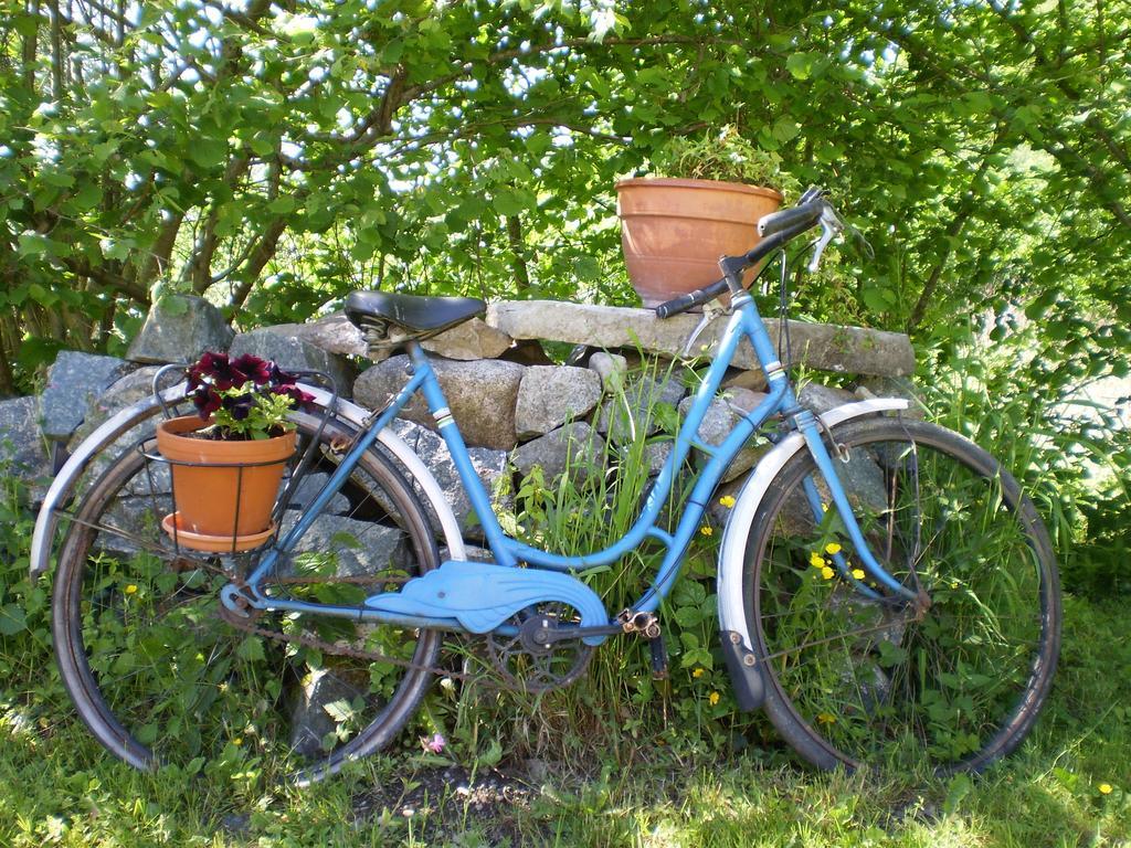Chambres D'Hotes Le Clos Des Lesses Fresse-sur-Moselle エクステリア 写真